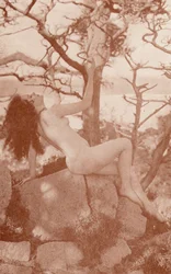 Nudist Art: Tanglewood