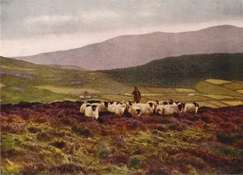 On the Mountains of Mourne, County Down