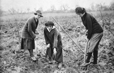 Pleasant, Profitable, Patriotic: On a Fruit-Farm at Letchmore Heath, Near St. Albans