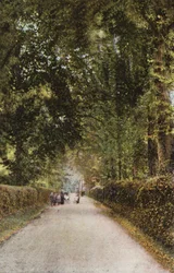 Spencer Road, Ryde