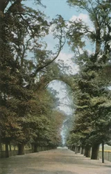 The Broad Walk