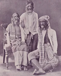 The Burmese Hairy Family