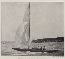 The Duke of York