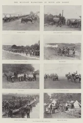 The Military Manoeuvres in Wilts and Dorset