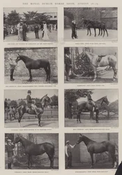 The Royal Dublin Horse Show, 26-29 August
