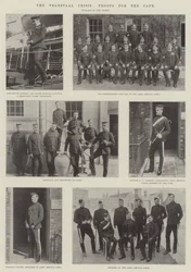 The Transvaal Crisis, Troops for the Cape