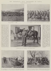 The Transvaal War, Defenders of Natal