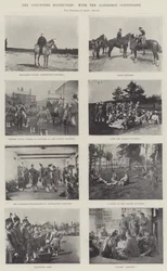 Volunteer Manoeuvres, with the Aldershot Contingent