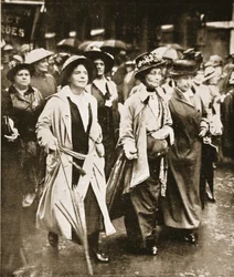 The Women