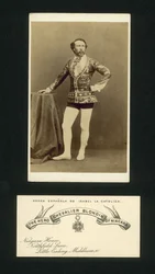 The Hero Chevalier Blondin of Niagara