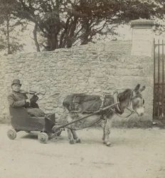 Violinist Pulled by a Donkey