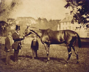 Wild Dayrell, Winner of the Derby in 1856