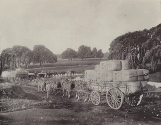 Wool-Teams, En Route to a Railway