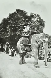 Zoological Gardens, Regents Park: Elephant Rides, London, c.1895