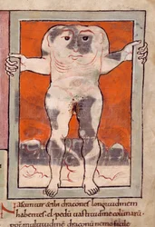 A Blemmyae, illustration from 