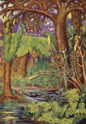 A Coal Forest