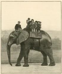A Farewell Ride on Jumbo