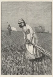 A Gleaner
