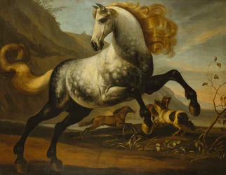 A Grey Prancing Stallion with Flowing Mane with Stallions Fighting in a Rocky Landscape