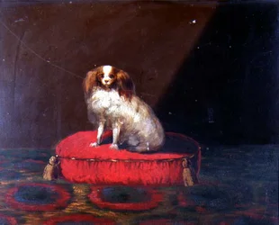 A King Charles Spaniel on a Red Cushion