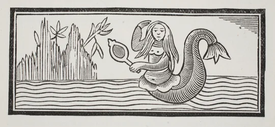 A Mermaid, Which Betokens Destruction to Mariners