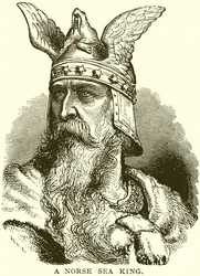 A Norse Sea King