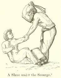 A Slave under the Scourge