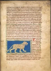 A Tiger, from Sloane 3544, f.2