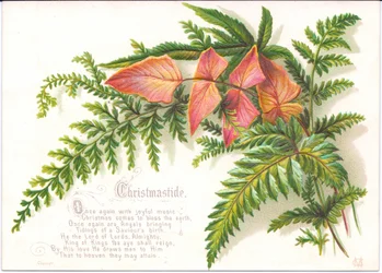Victorian Christmas Card with Ferns