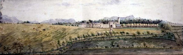 A View in India