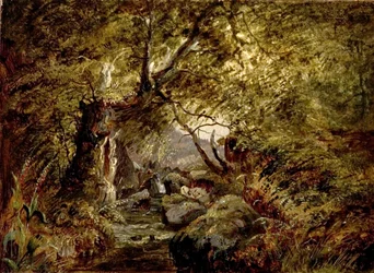 A Woodland Stream