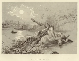 A Frightful Incident
