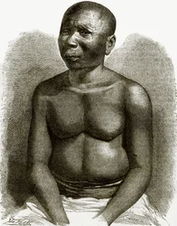 A native of Andaman islands