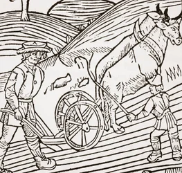 A pair of oxen yoked to a plough, titlepage from John Fitzherberts Boke of Husbandry, first pub. 1523