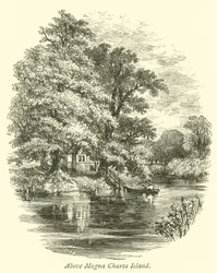 Above Magna Charta Island