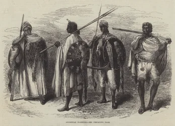 Abyssinian Warriors