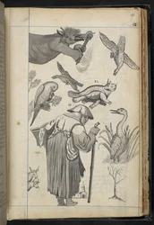 Illustration from A discourse of Witchcraft as it was acted in the Family of Mr. Edward Fairfax of Fuystone
