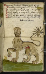 Game-book
