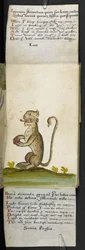 Game-book