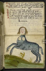 Game-book