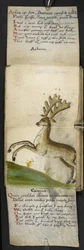 Game-book