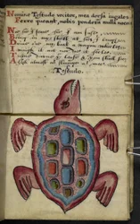 Game-book