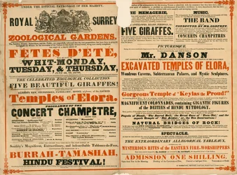 Advert for the Royal Surrey Zoological Gardens, London