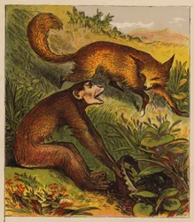 Aesop’s Fables: The Fox and the Ape