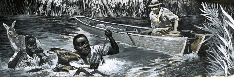 Africans Rescuing Animals
