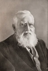 Alfred Russel Wallace, from 