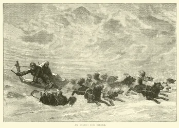 An Eskimo Dog Sledge
