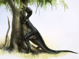 Anatosaurus