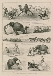 Animals Against Men: Feats of Strength at Lillie Bridge
