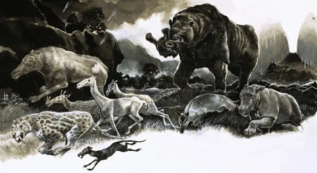 Animals from the Oligocene Age
